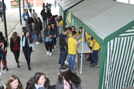 mercado1
